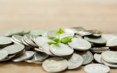 Raccogliere fondi in modo strategico: oltre il fundraising, la consulenza che fa la differenza